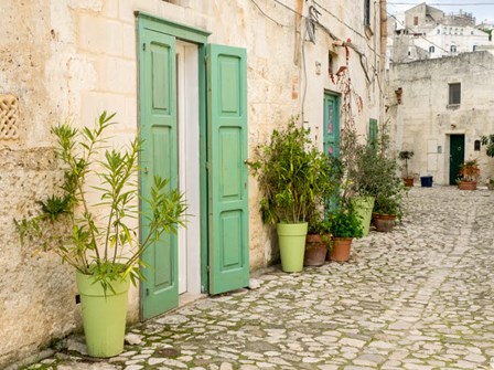 Italy, Basilicata, Matera Plants Adorn The Outside Walls Of The Sassi Houses by Julie Eggers / Danita Delimont art print