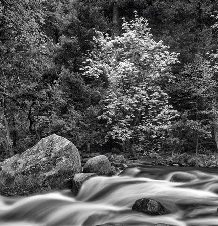 California, Yosemite, Happy Isles by John Ford / DanitaDelimont art print