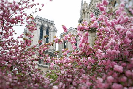 Notre Dame 1 by Carina Okula art print