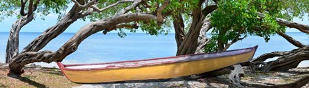 Yellow Bird Boat by Steve Vaughn art print