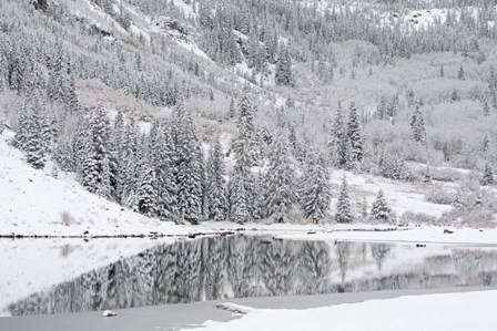 Colorado, Maroon Bells State Park, Autumn Snowfall On Mountain And Maroon Lake by Jaynes Gallery / Danita Delimont art print