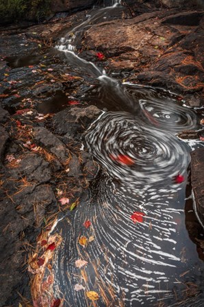 New York, Adirondack State Park Stream Eddies by Jaynes Gallery / Danita Delimont art print