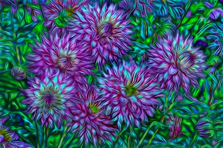 Oregon, Shore Acres State Park, Abstract Of Dahlias In Garden by Jaynes Gallery / Danita Delimont art print