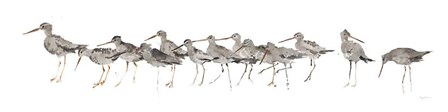 Watercolor Sandpiper Panel Gray by Avery Tillmon art print