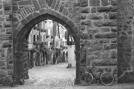 Bicycle of Riquewihr by Monte Nagler art print