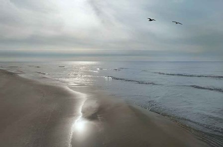 Beach Flight by Monte Nagler art print