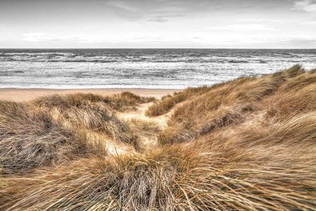 Beach Dunes by Assaf Frank art print