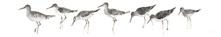 Sandpipers Panel Gray by Avery Tillmon art print