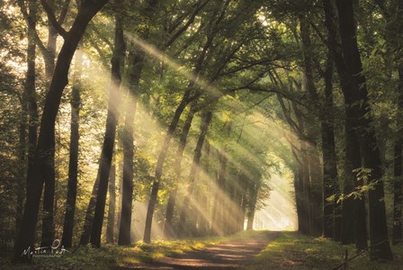 The Light of Lochem by Martin Podt art print