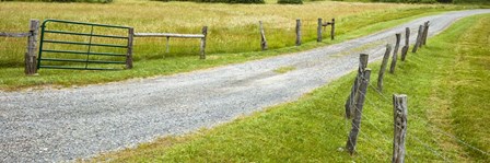 Country Road Panorama III by James McLoughlin art print