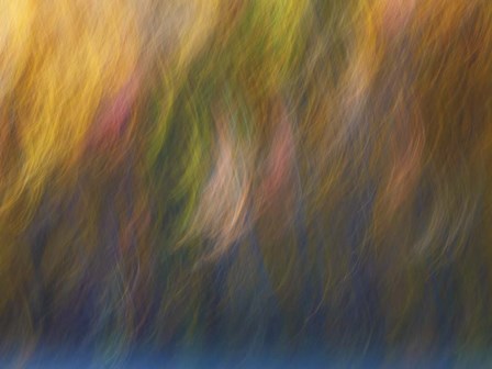 Soft Landscape X by James McLoughlin art print