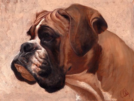 Boxer by Thomas Fluharty art print