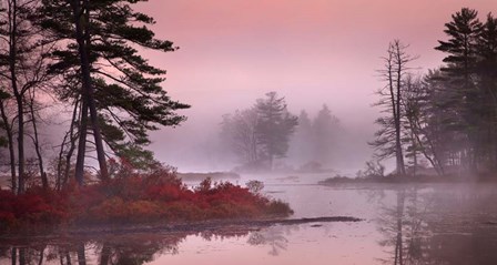 Pink Fog by Patrick Zephyr art print