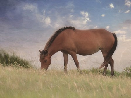 Assataegue Horse by Lori Deiter art print