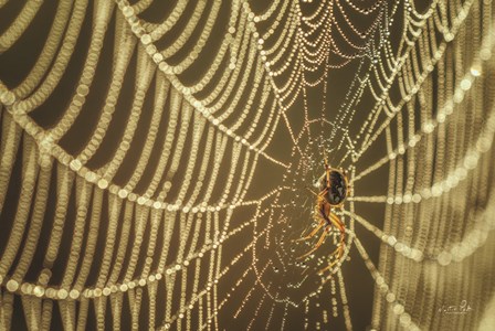 The Spider and Her Jewels by Martin Podt art print