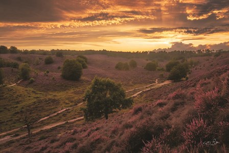 Just a Sunset in the Netherlands by Martin Podt art print