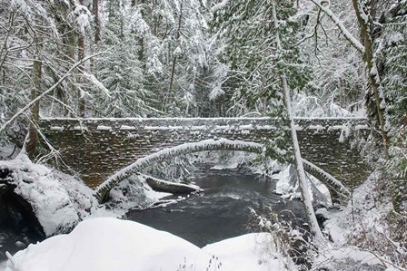 Whatcom Creek Bridge by Alan Majchrowicz art print