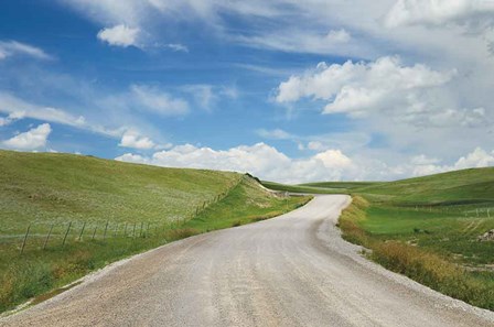 Gravel Road Near Choteau Montana I by Alan Majchrowicz art print