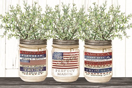 Patriotic Glass Jar Trio I by Cindy Jacobs art print