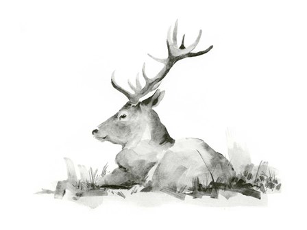 Recumbent Stag II by Jacob Green art print