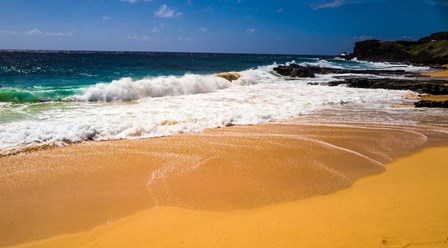 Oahu Shore Waves by Bill Carson Photography art print