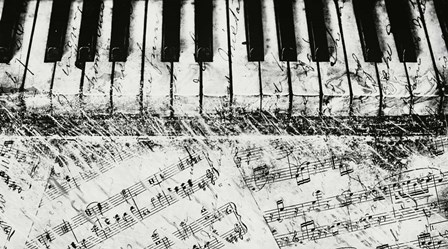 Black &amp; White Piano Keys by Dan Meneely art print