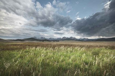 Sawtooth Mountains Idaho by Alan Majchrowicz art print