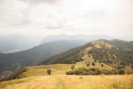 Grassy Hills and Mountains by Aledanda art print