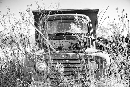 Truck in Wildflower Field by Donnie Quillen art print