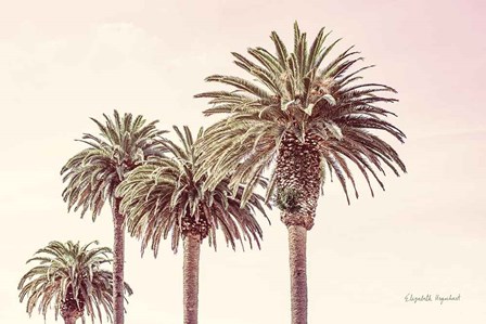 Pastel Palms by Elizabeth Urquhart art print