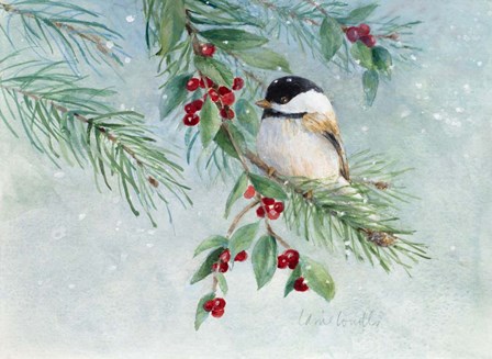 Gray-Headed Chickadee On Holly by Lanie Loreth art print