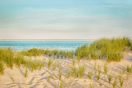 Monomoy View by Brooke T. Ryan art print