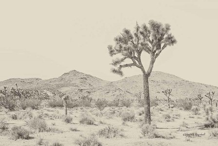 Joshua Tree I Neutral by Elizabeth Urquhart art print