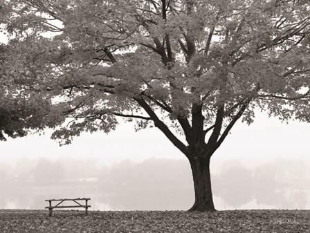 The Empty Table by Lori Deiter art print