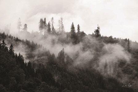 Covered by Clouds by Martin Podt art print