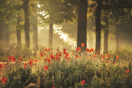 The Poppy Forest by Martin Podt art print