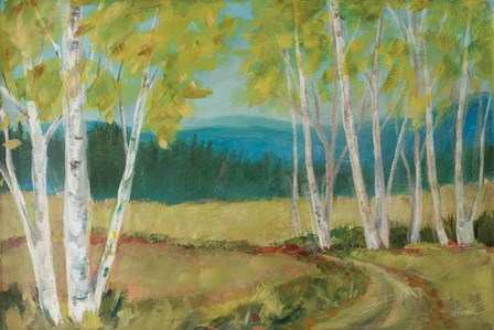 Birch Road by Sue Schlabach art print