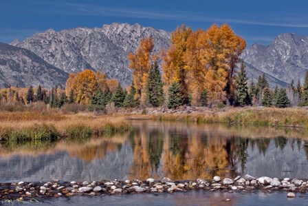 Teton Autumn by Larry McFerrin art print