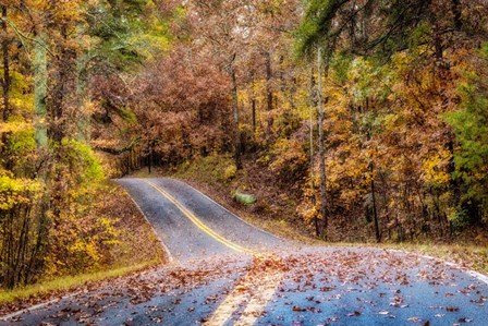 Woodland Road II by Andy Amos art print