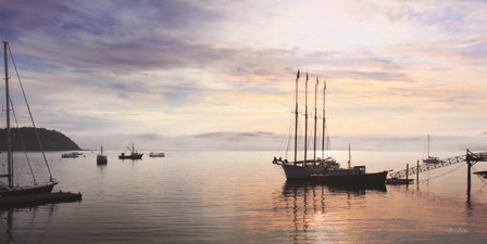 Bar Harbor Silhouettes by Lori Deiter art print