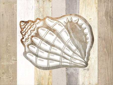 Coastal Shell I by Marla Rae art print