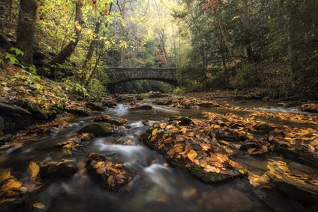 Stone Bridge by Danny Head art print