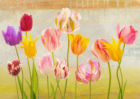 Tulipani d&#39;estate by Teo Rizzardi art print