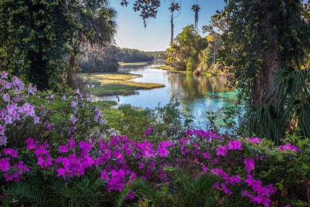 Rainbow Springs by H.J. Herrera art print