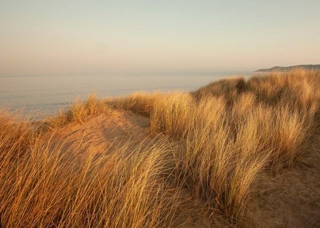 Dunes with Seagulls 7 by Ian Winstanley art print