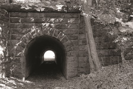 Juniata Tunnel by Lori Deiter art print