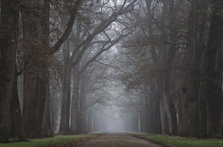 Creepy Road by Martin Podt art print