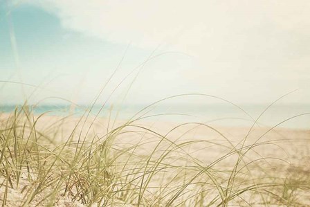 Beach Grass V Light by Elizabeth Urquhart art print