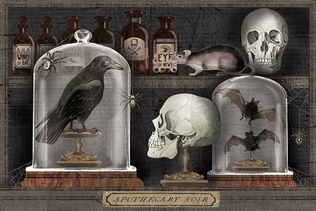 Apothecary Noir V by Sue Schlabach art print