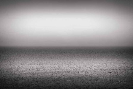 Bay of Fundy BW by Alan Majchrowicz art print